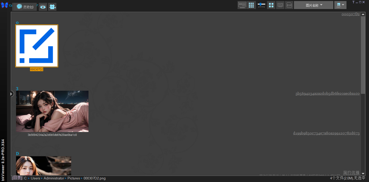bkViewer（数码照片浏览器专业版 强大的数码照片浏览与集中处理工具 支持RAW格式与EXIF信息解析  截图