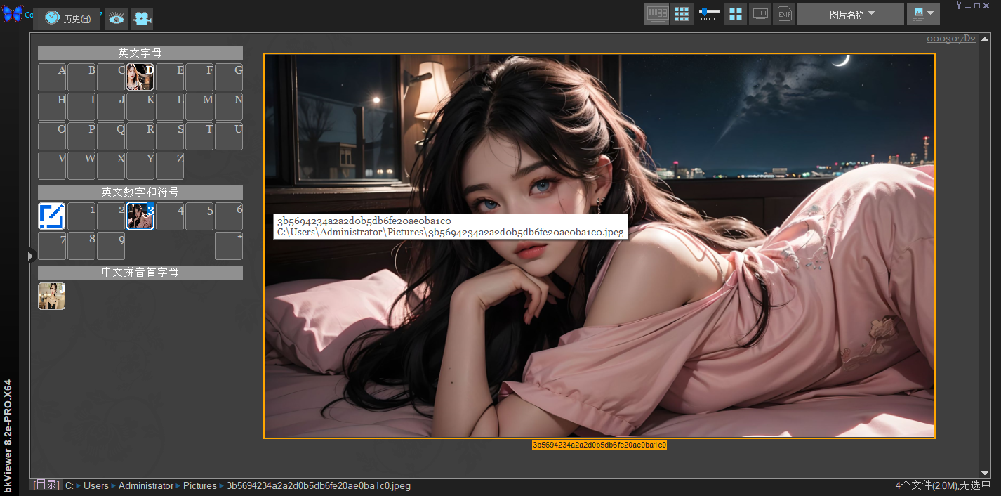 bkViewer（数码照片浏览器专业版 强大的数码照片浏览与集中处理工具 支持RAW格式与EXIF信息解析  截图